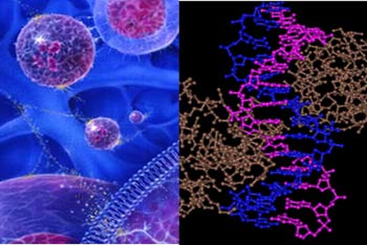 رشد چشمگیر ایران در دانش سلول‌های بنیادی