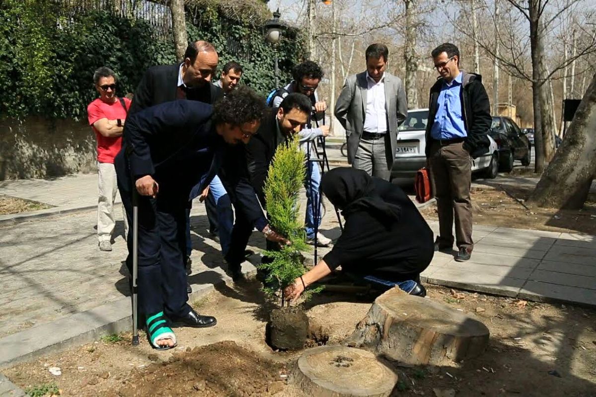 غرس نهال توسط مستندسازان در روز درختکاری