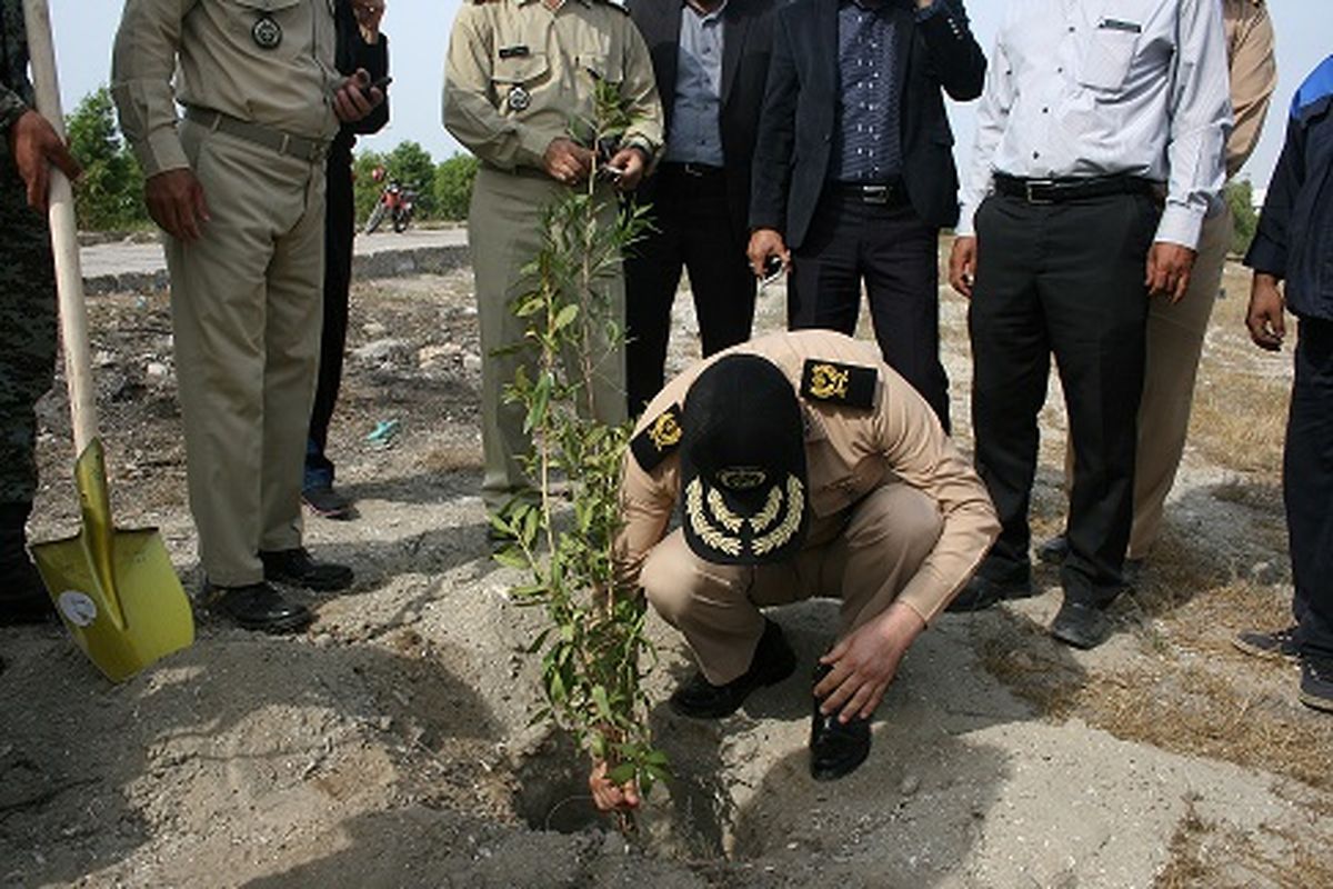 ۴۰۰ اصله نهال در منطقه یکم نیروی دریایی ارتش غرس شد