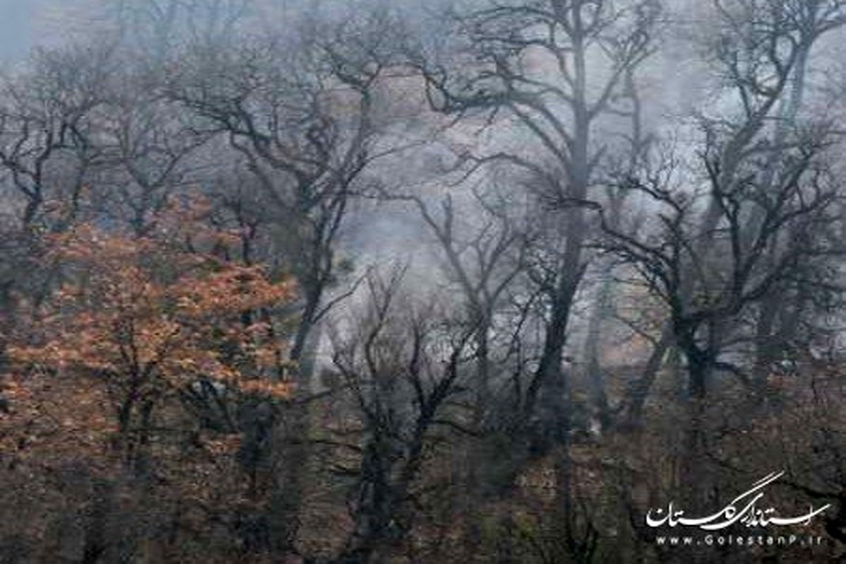 مانور اطفای حریق در جنگل در پارک ملی گلستان آغاز شد.