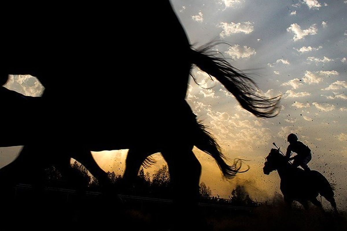 جام شیرین در قصر فیروزه