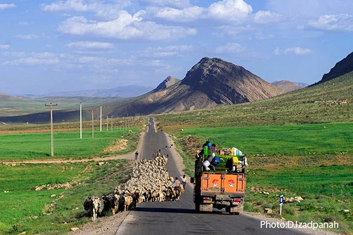 حضور عکاس هم استانی در جشنواره عکس گریترلین آمریکا