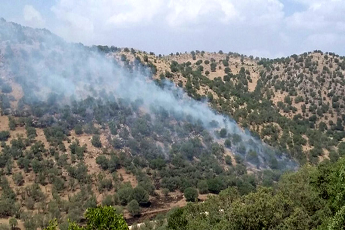 تنگه ارغوان ایلام طعمه حریق شد