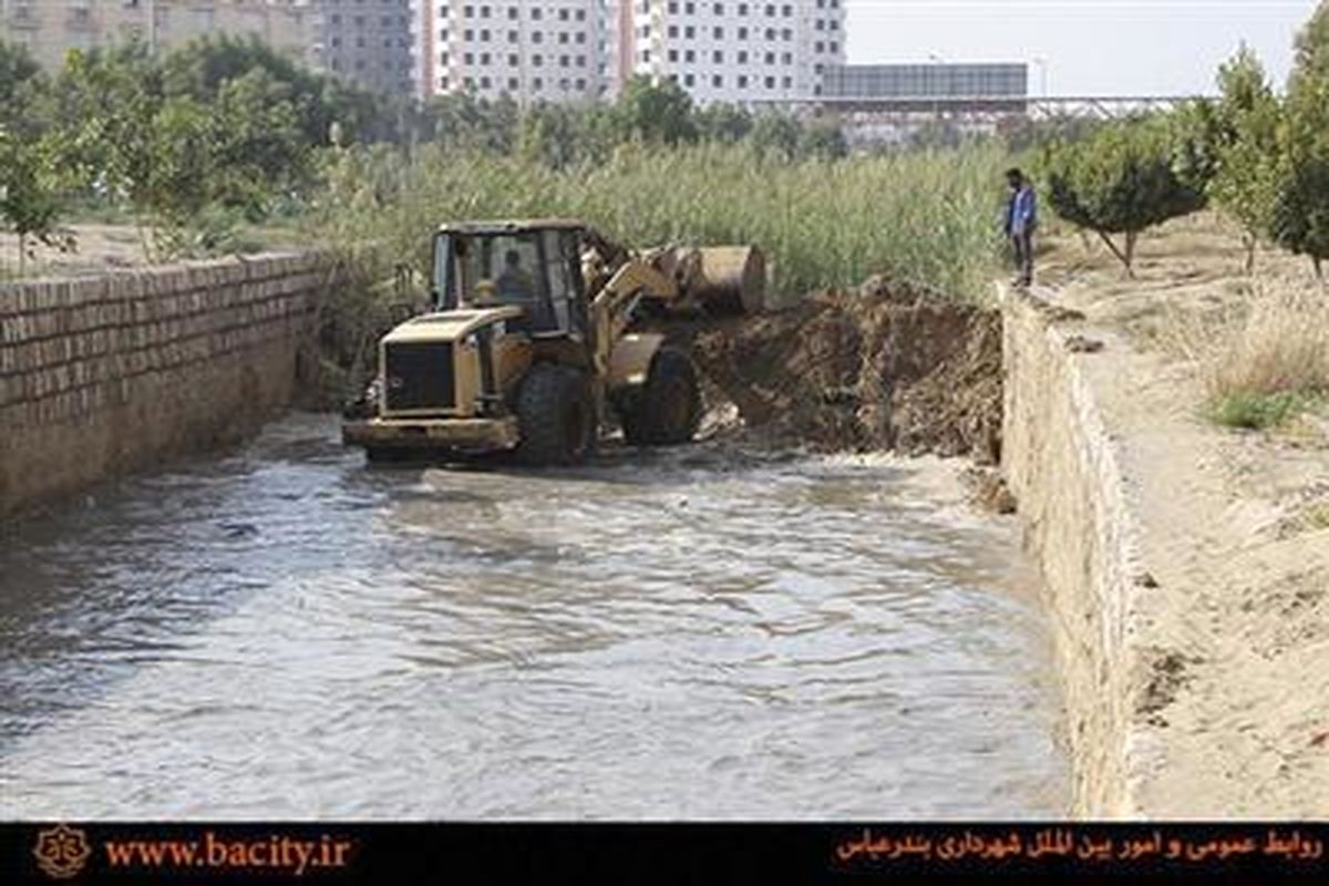 خور شهید حقانی بندرعباس پاکسازی شد