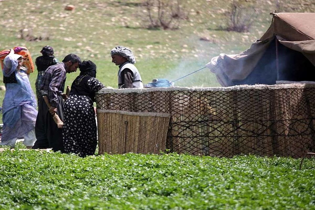 سوخت رسانی به عشایر کرمانشاه در حال انجام است