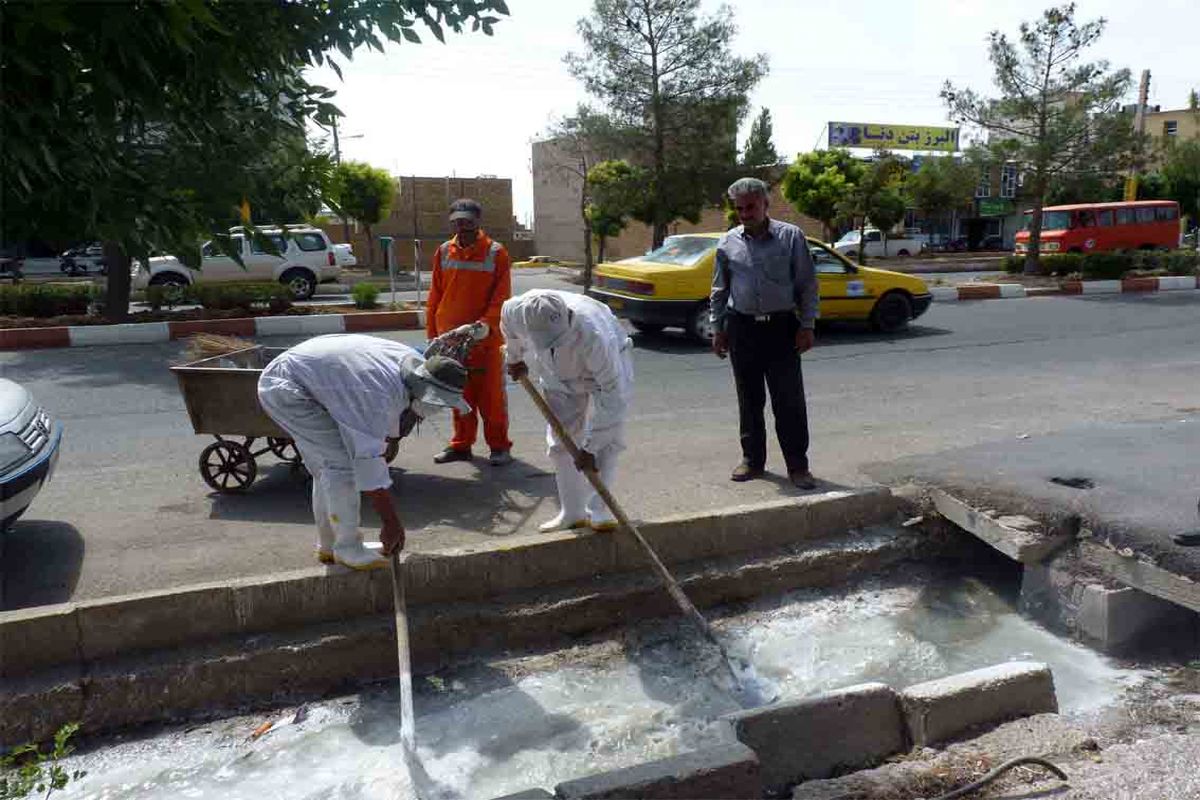 کاهش ۷۰ درصدی جانوران موذی در منطقه ۶