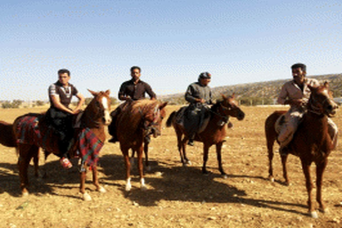 مسابقات سوارکاری در شهرستان ملکشاهی برگزار شد