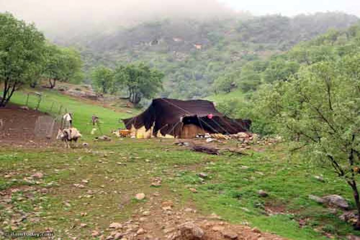 سیل چادر خانوار عشایری ایلام را با خود برد