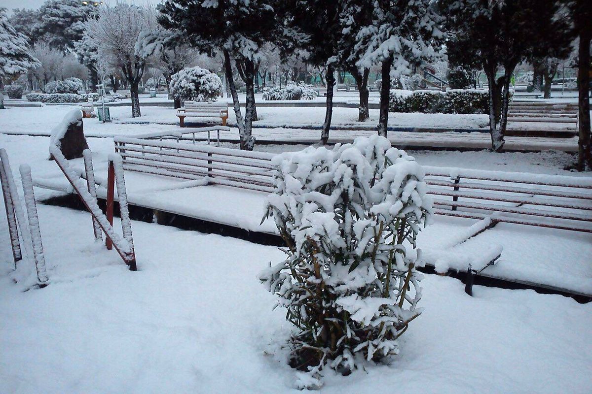 آسمان قم بار دیگر برفی می‌شود