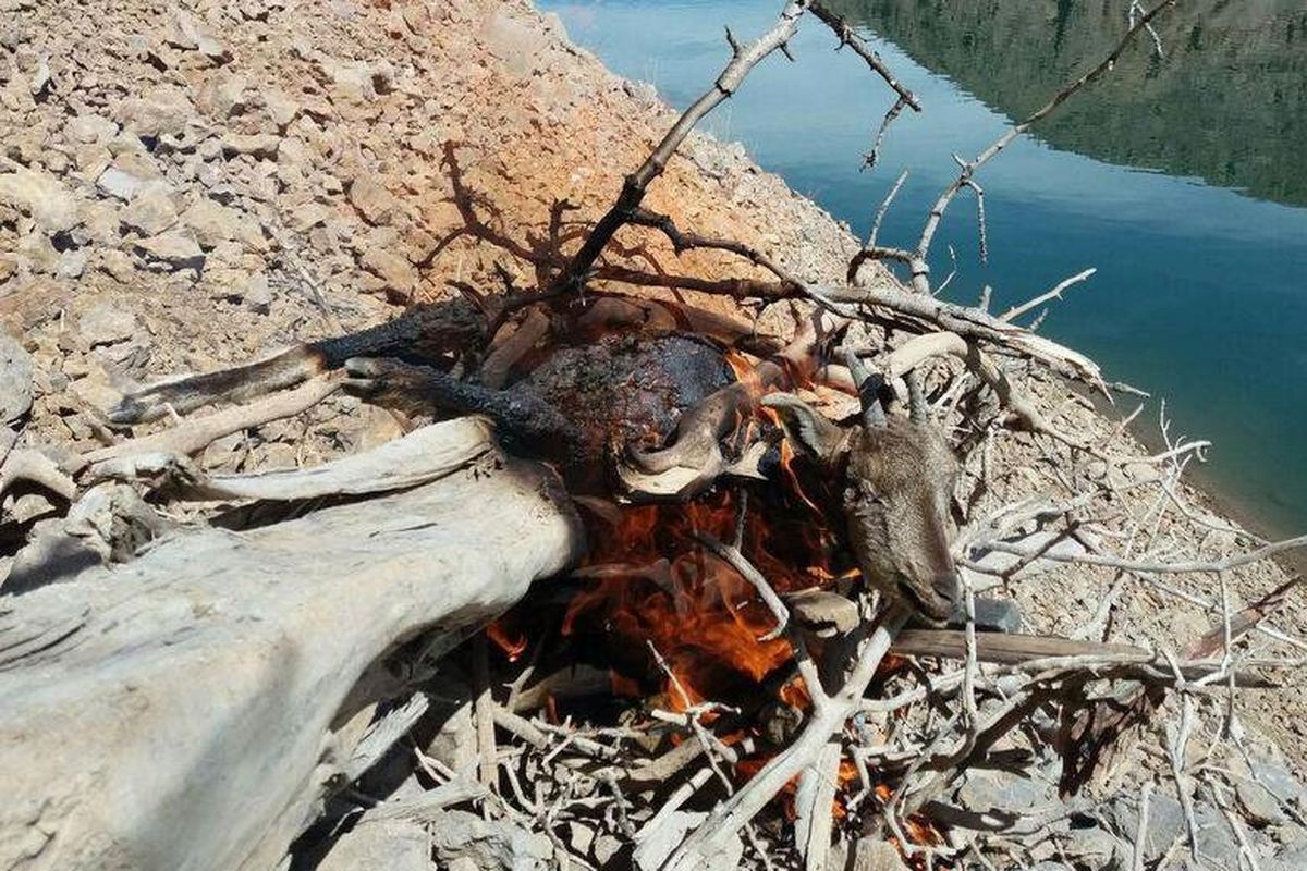 طاعون به خجیر و سرخه حصار رسید