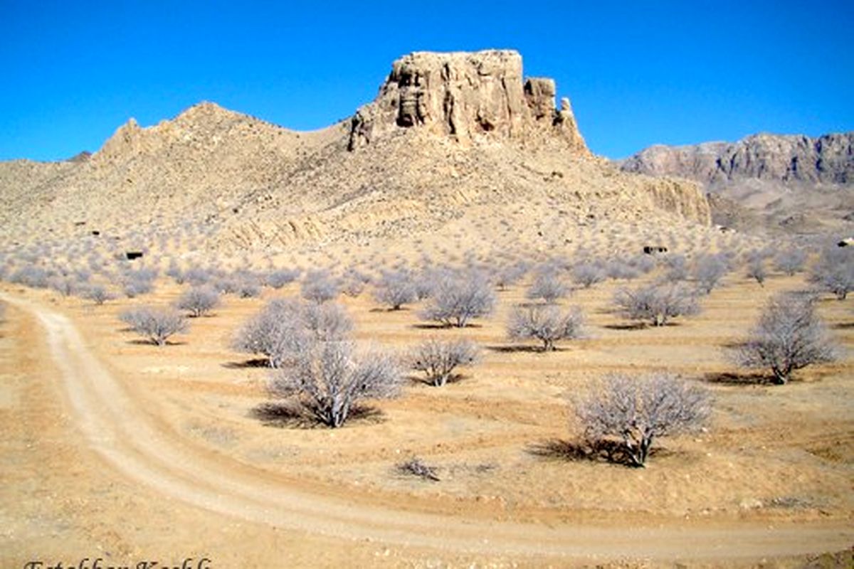 دستگیری قاتل فراری قلعه گنجی پس از دو سال در استان فارس