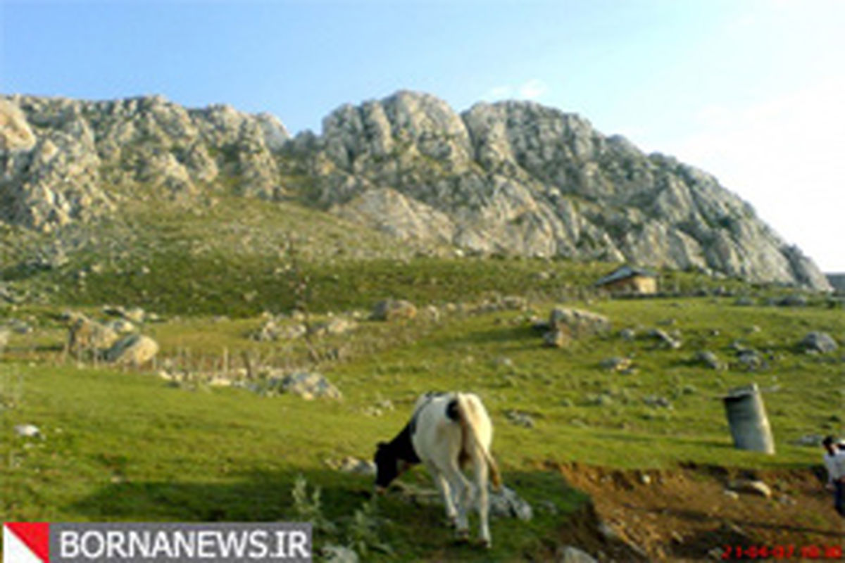 دردسر  جدید برخی عشایر استان سمنان