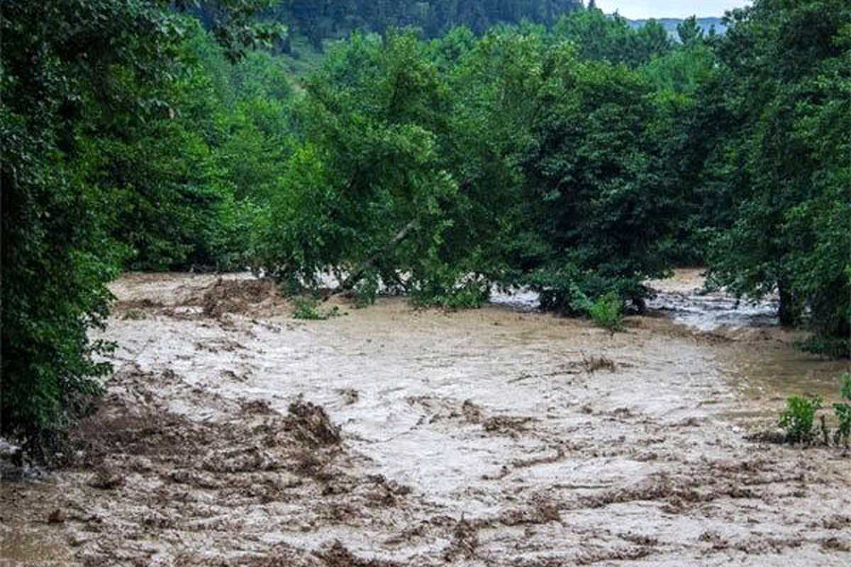 وقوع سیل در جنگل دز و نجات ۷ نفر از مأموران اجرایی