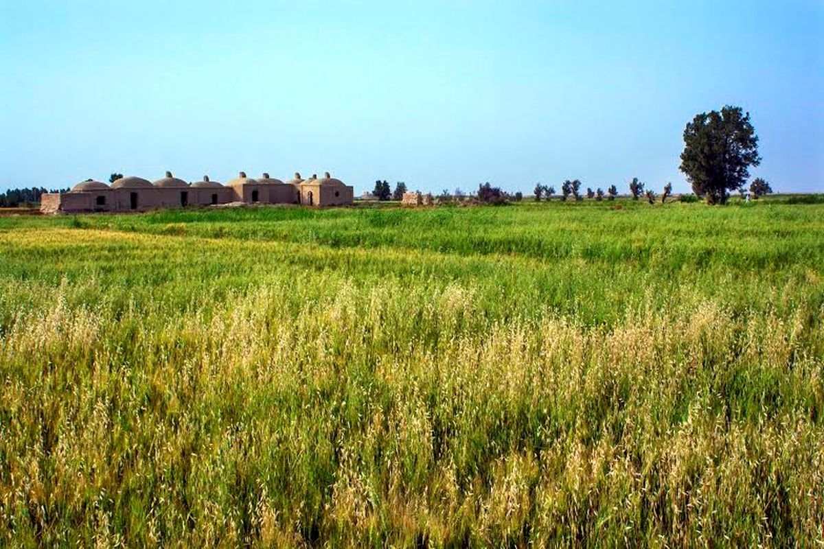 سیلاب شادمانی در سیستان