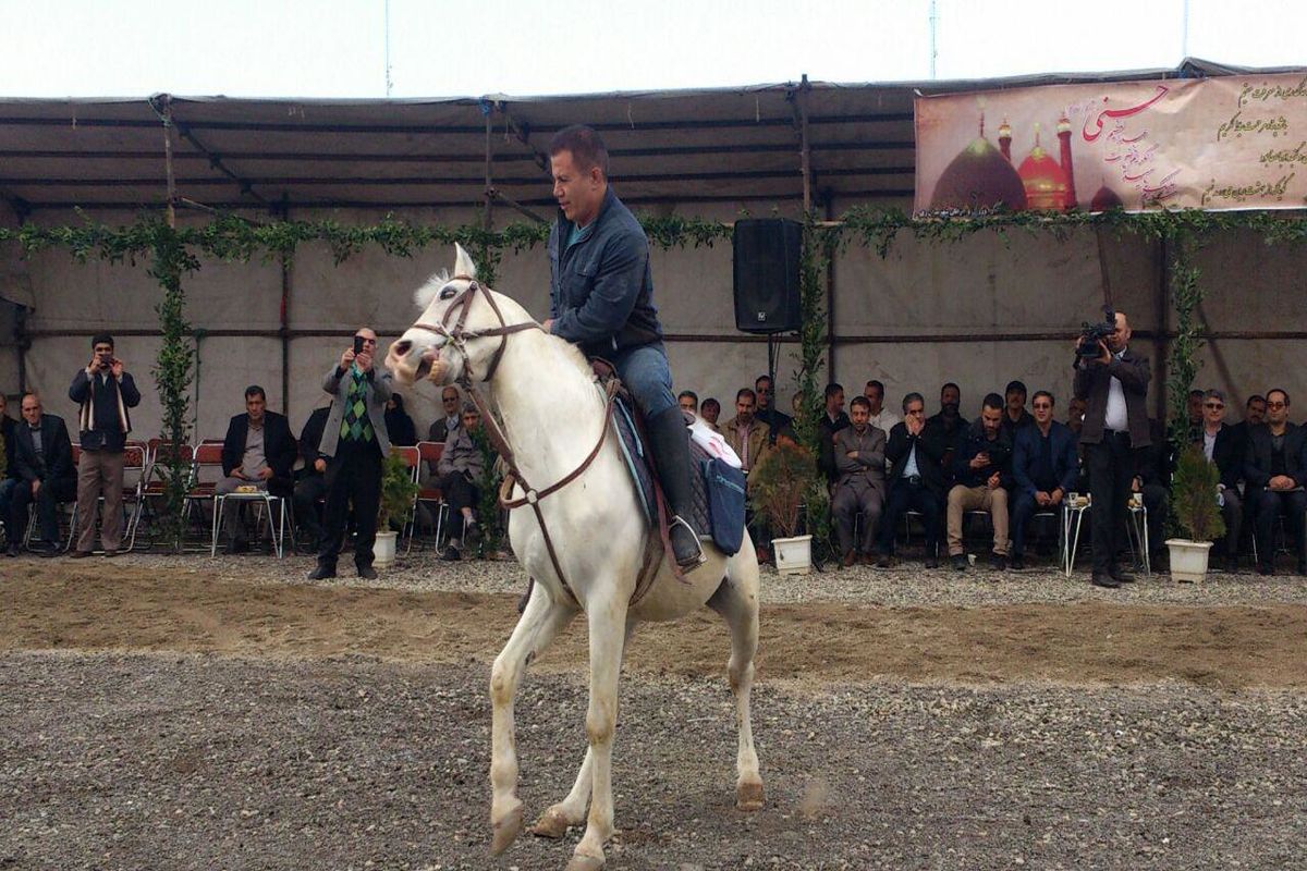 اولین جشنواره سوارکاری در شهرستان ری برگزار شد