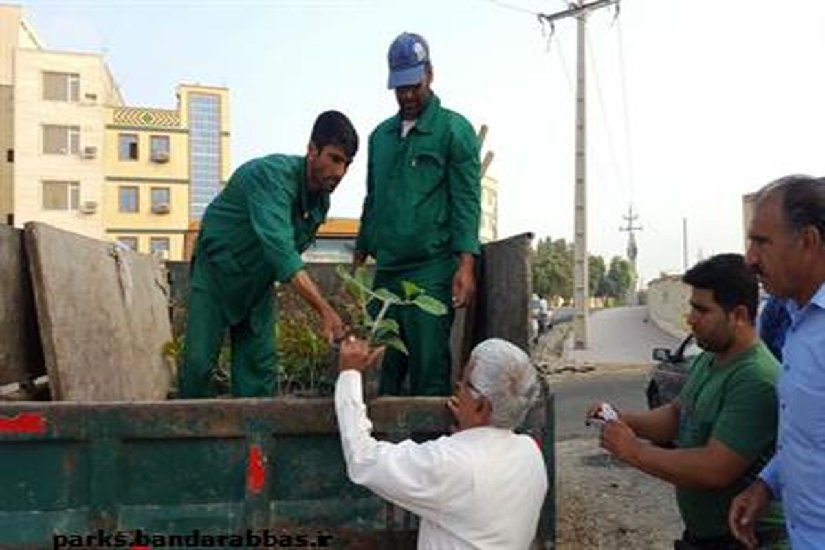 اجراء طرح توسعه مشارکتی فضای سبز در محلات