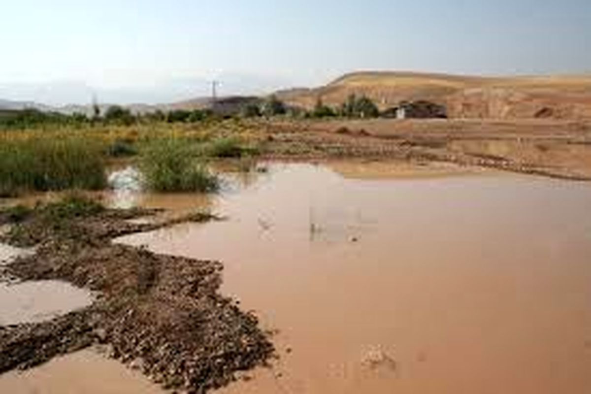 سه واحد متخلف زیست‌محیطی در اردبیل و پارس آباد تعطیل شد