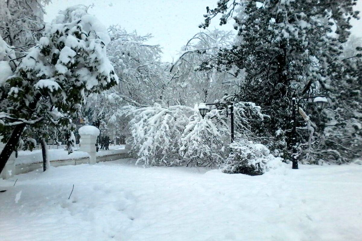 گزارش تصویری از مرکز شهر رشت