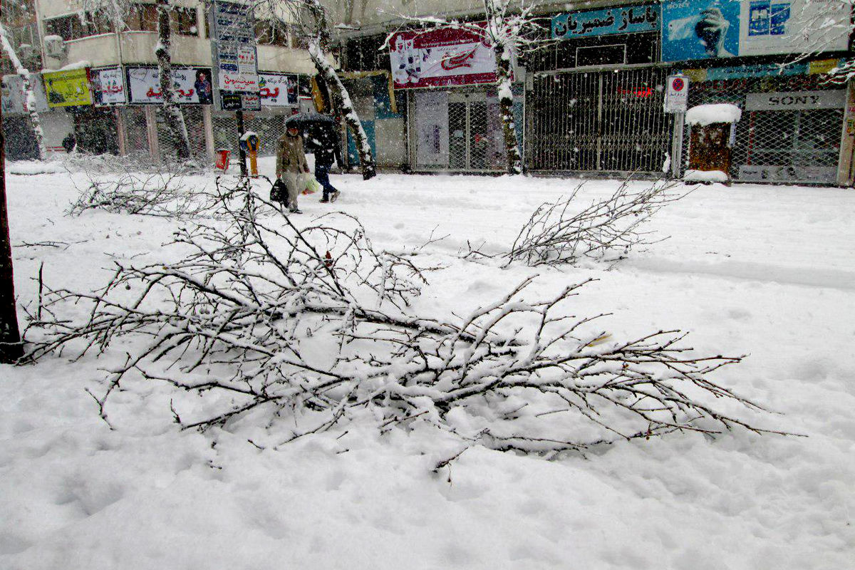 خسارت میلیاردی برف به شبکه برق ملایر