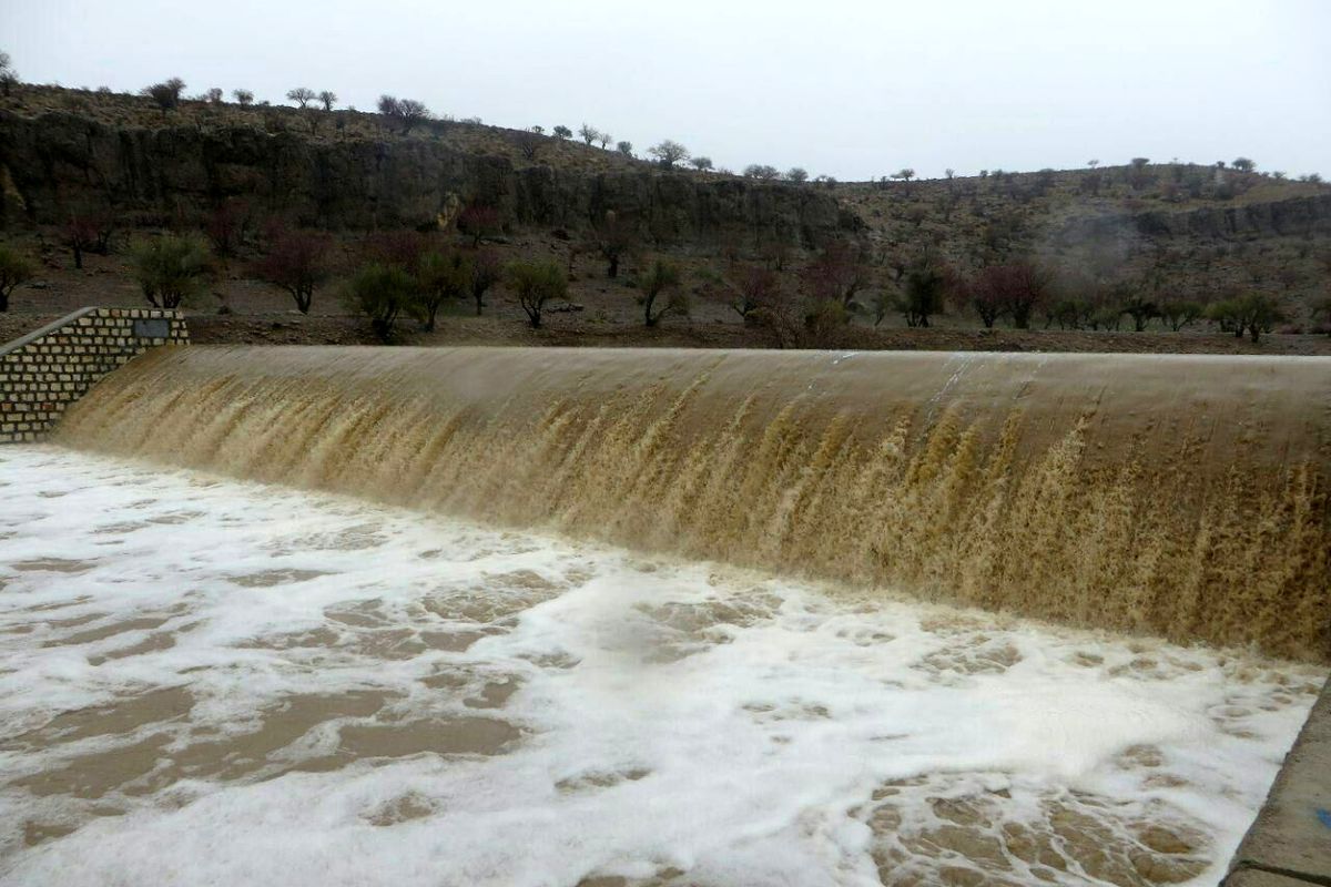 مهار ۸.۵ میلیون متر مکعب سیل و جذب در سفره های زیرزمینی/ نیاز به مشارکت ذینفعان در اجرای پروژه های آبخیزداری