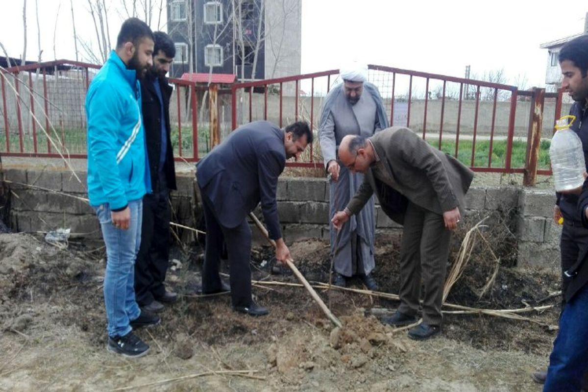 محوطه سالن ورزشی امام خمینی (ره) نهال کاری شد