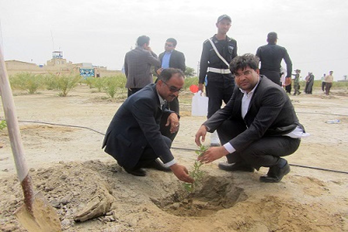 ۵۰۰ اصله نهال در زندان شهرستان جاسک غرس گردید