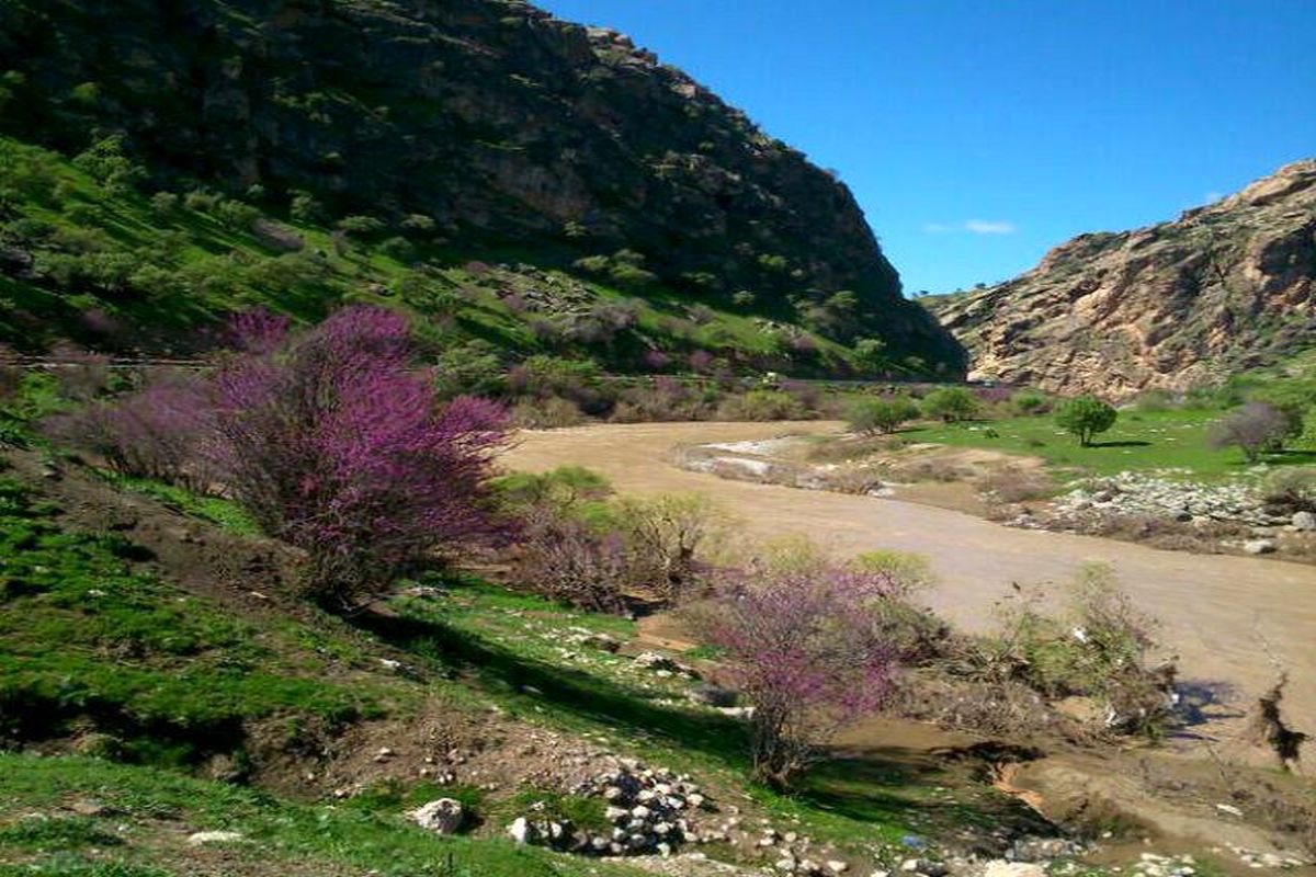 چشم اندازی ازجادذبه های گردشگری لرستان ؛ازطبیعت گردی تااماکن تاریخی