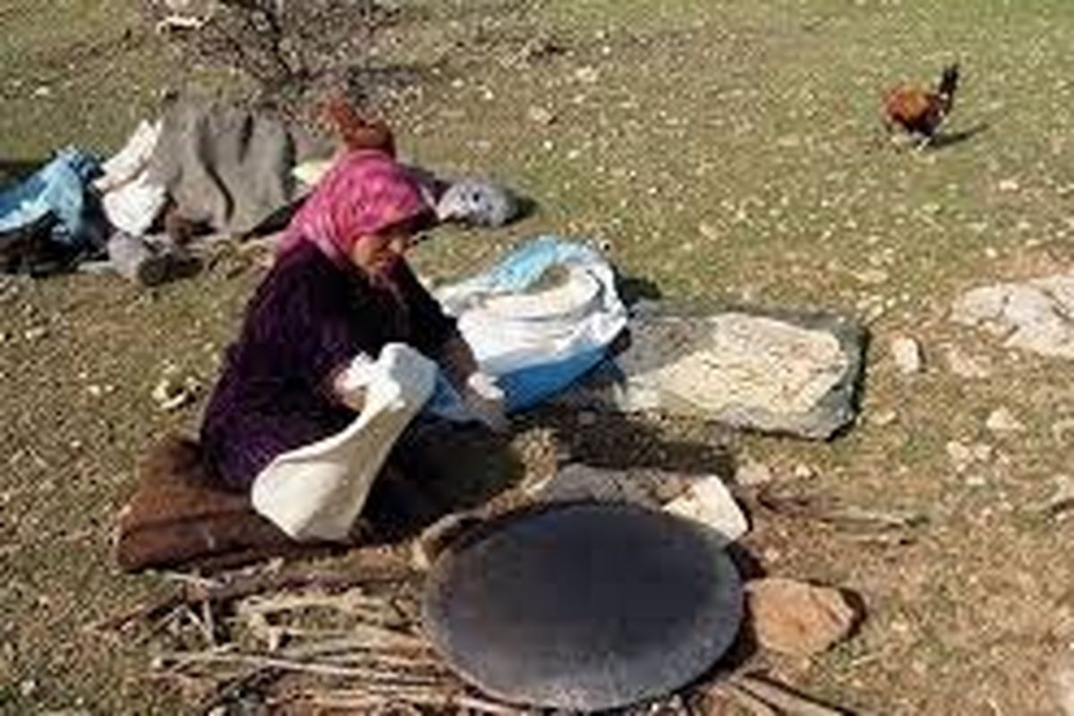 ۴۱۰۰ تن آرد و جو در بین عشایر استان اردبیل توزیع شد