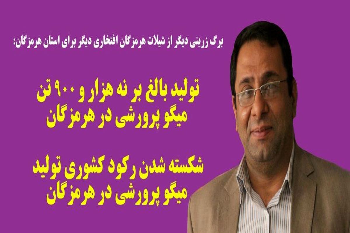 تولید بالغ بر نه هزار و ۹۰۰تن میگو پرورشی در هرمزگان/شکسته شدن رکود کشوری تولید میگو پرورشی در هرمزگان