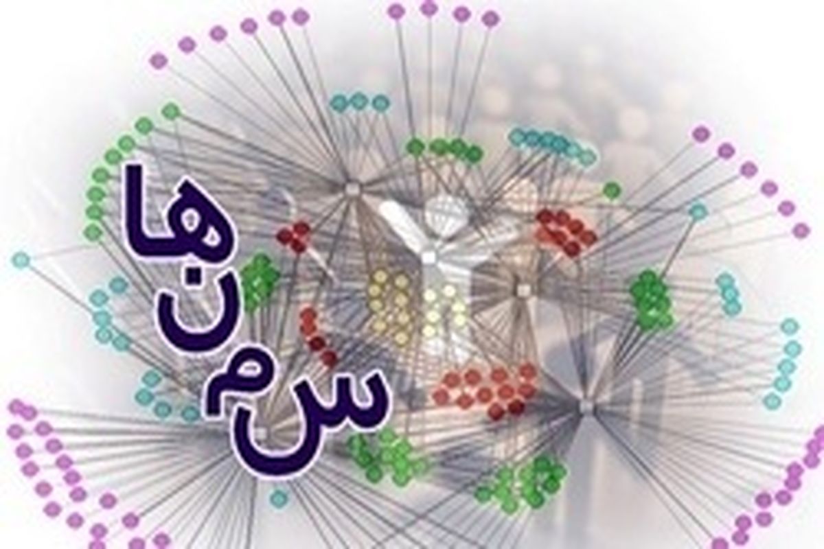 سمن ها و نقش افرینی در پیشرفت سیستان و بلوچستان