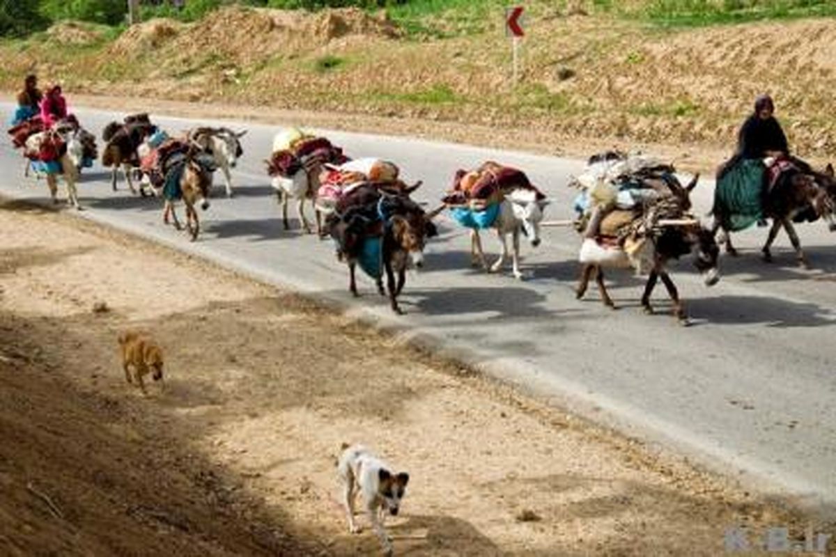 عشایر تنها مجاز به استقرار در ۹۰ پلاک پیش بینی شده هستند