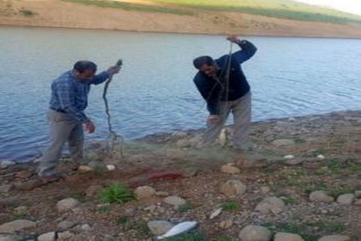 کشف یک تور دریایی صید ماهی در سد ایوشان کشکان رود