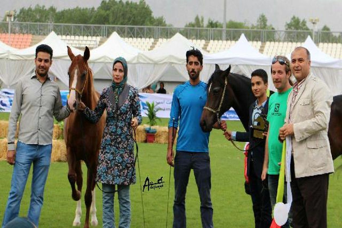 درخشش سوارکاران لرستانی درجشنواره مسابقات کشوری زیبایی اسب طاق بستان و مسابقات کورس بهاره