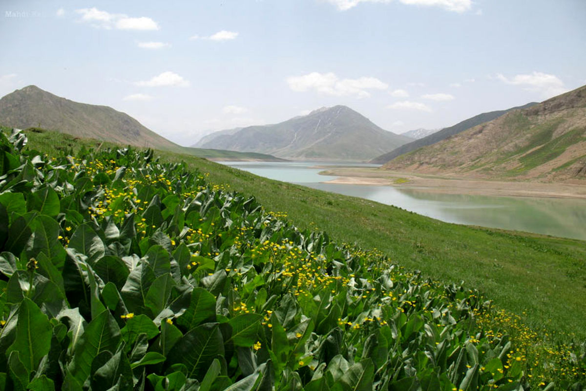 شهروندان از مراجعه به پارک ملی لار خودداری کنند