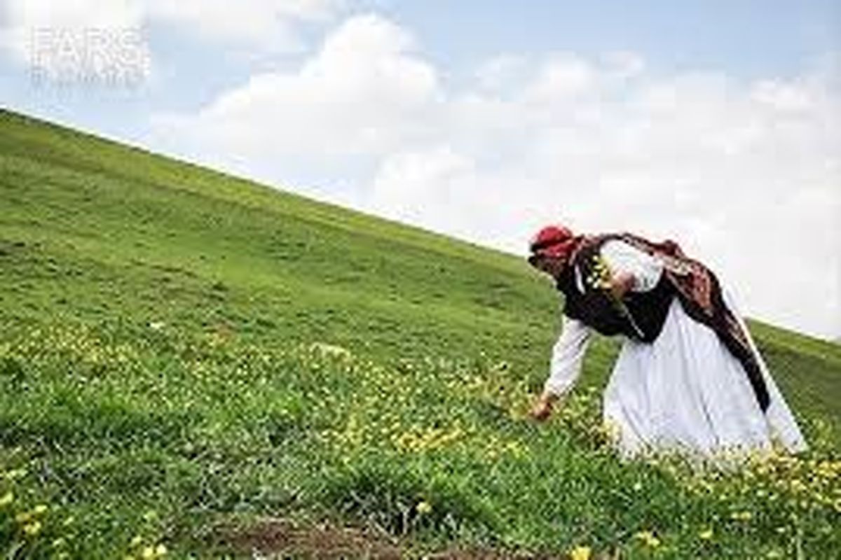 جایگاه ضعیف زنان روستایی در رسانه ها