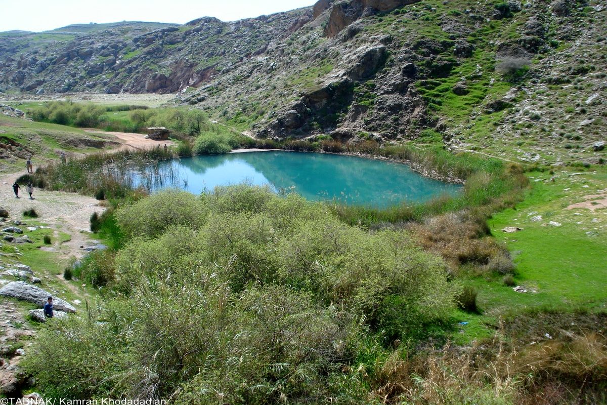 طبیعت بکر و زیبای ایلام قابلیت جذب گردشگر به شکل طبیعت گردی دارد