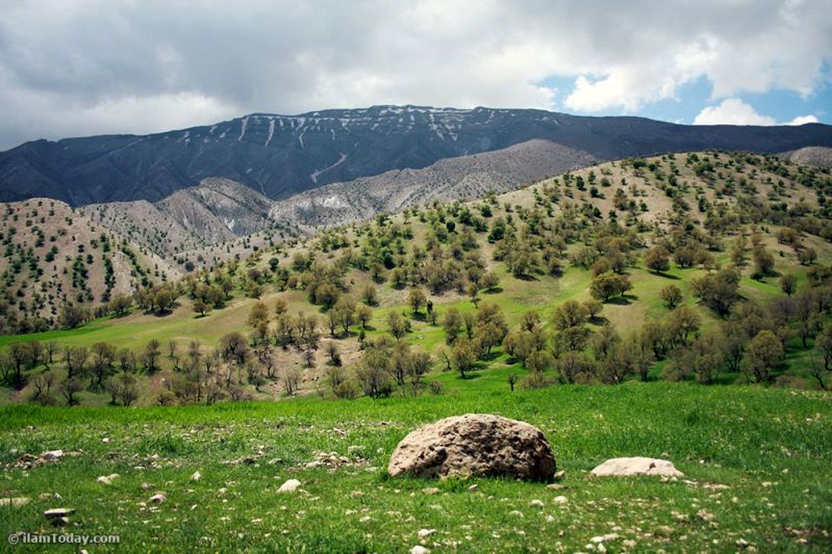 فعال شدن دبیرخانه طرح حفاظت و توسعه پایدار کوهستان زاگرس مرکزی