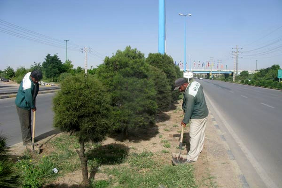 تسطیح بیش از ۲۵۰۰ متر مربع زمین در سطح شهر کرمان در نیمه اول خرداد ماه