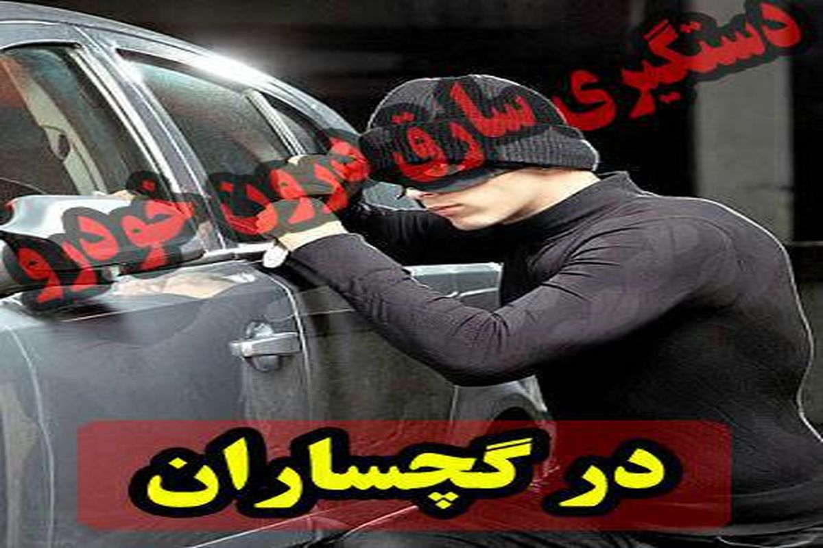 کشف ۸ فقره سرقت با دستگیری دو سارق حرفه ای در گچساران