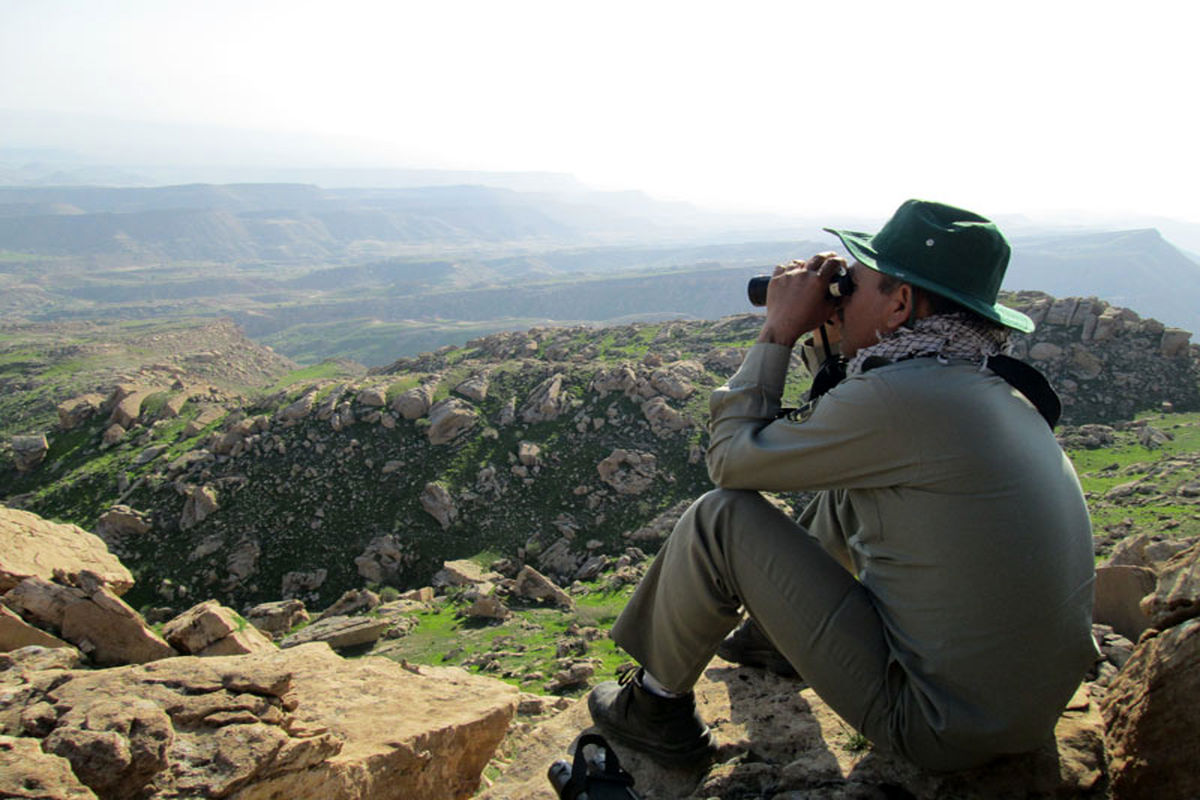 پستانداران و پرندگان خشک زی در خراسان جنوبی سرشماری می شوند