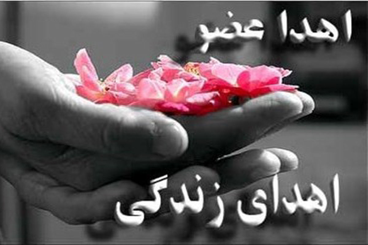 زندگی دوباره چهارنفر با اهدای عضو