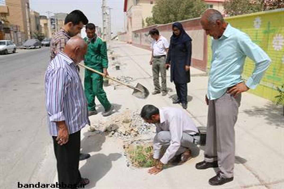 کاشت واهداء۱۰۰اصله نهال درقالب طرح توسعه مشارکتی باهمکاری مسجدامام رضا وشهروندان