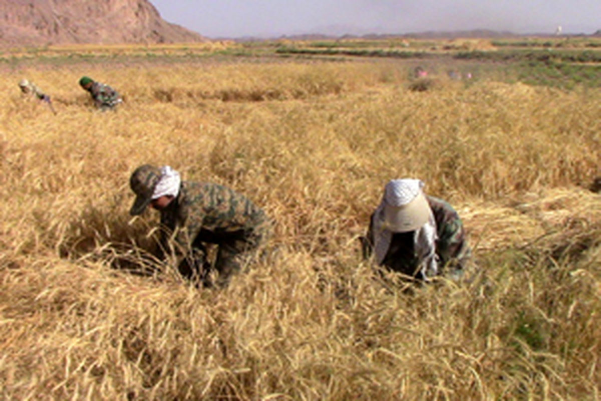 اردوی جهادی یک روزه در نقنه