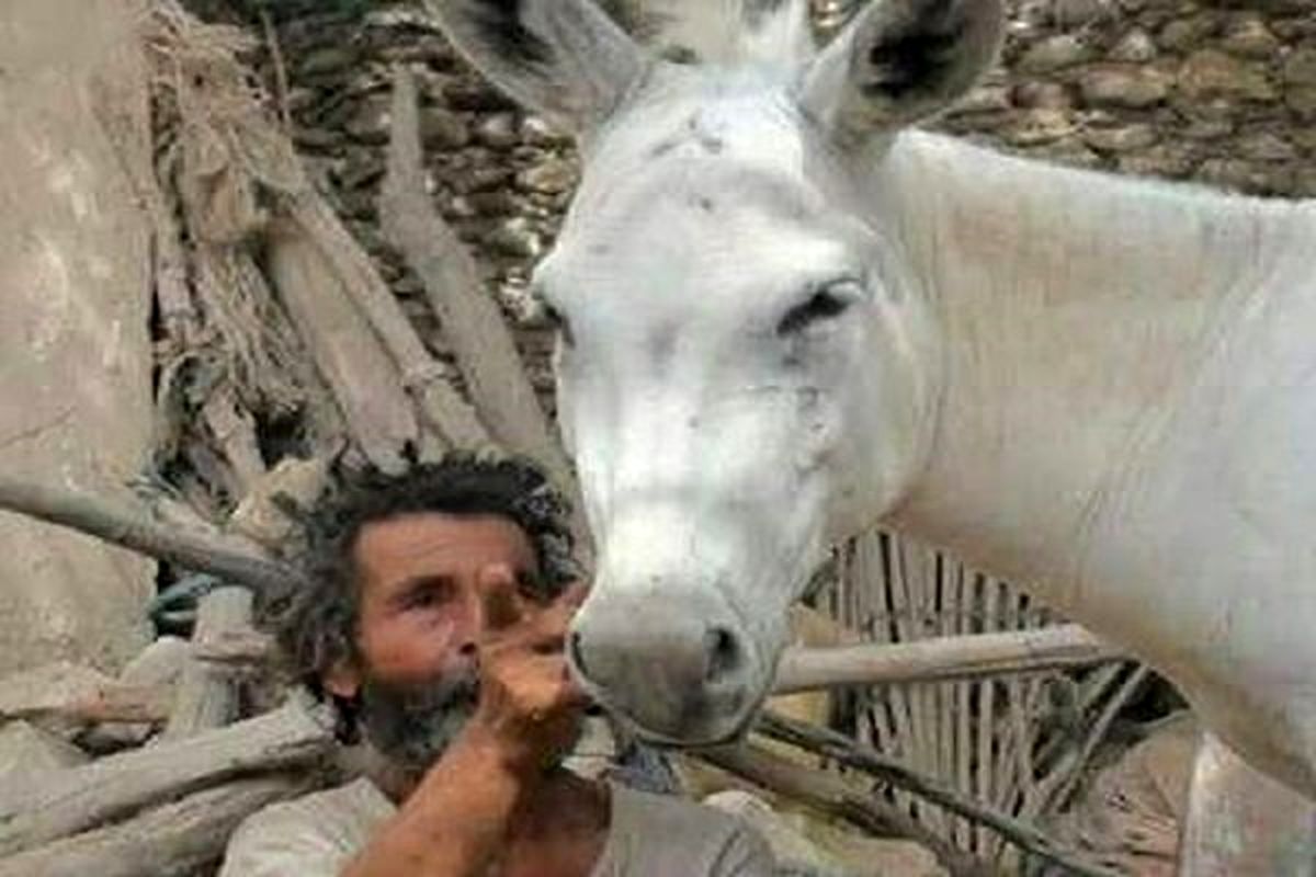 راهیابی مستند «خر» به بخش مسابقه جشنواره «انسان و طبیعت»