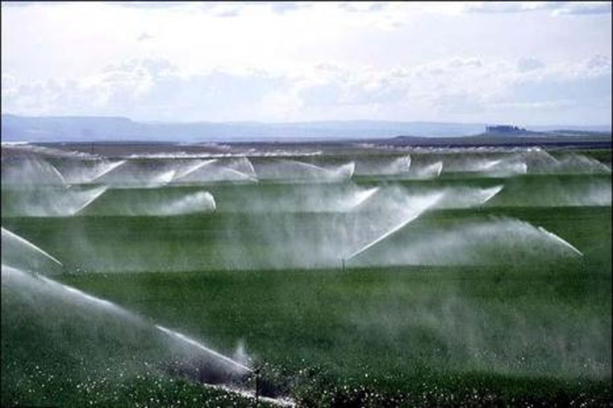 پانصد میلیون دلار از صندوق توسعه ملی برای آبیاری تحت فشار اختصاص می‌یابد