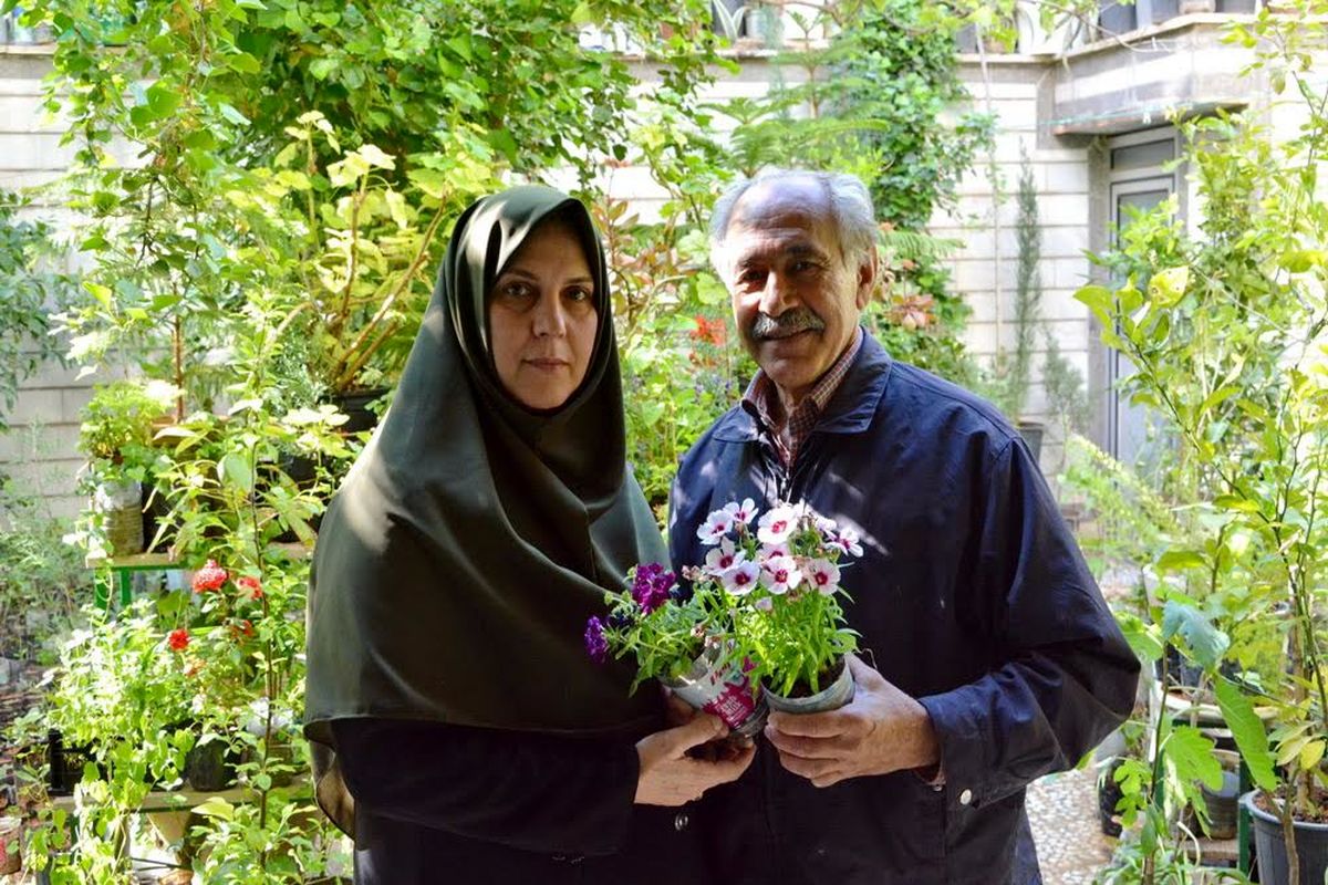 پدر بلوط ایران مهمان سرزمین ما شد