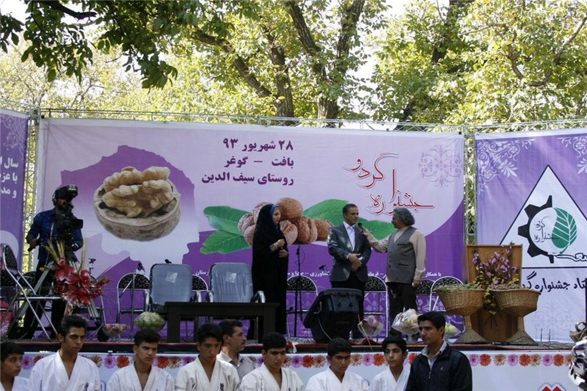 جشنواره گردو برگزار می شود