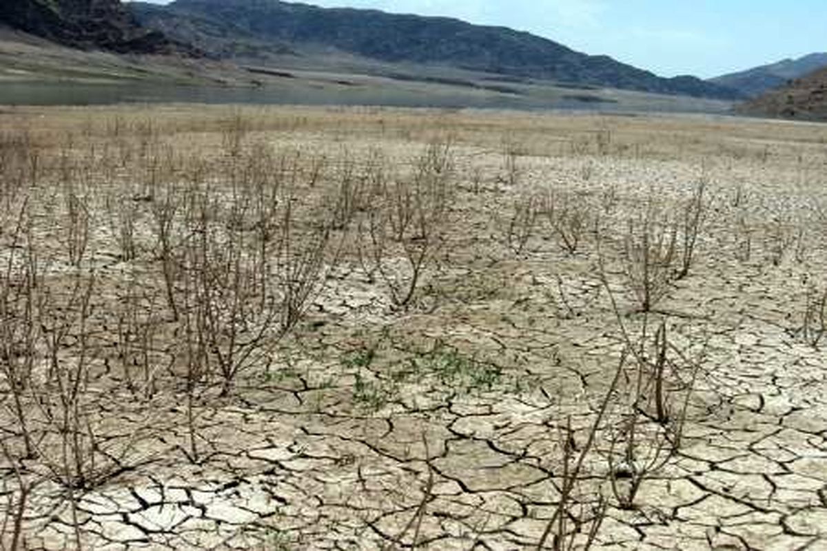 مبارزه با بیابان زایی در تالاب جازموریان از اولویت های مهم سازمان جنگل هاست