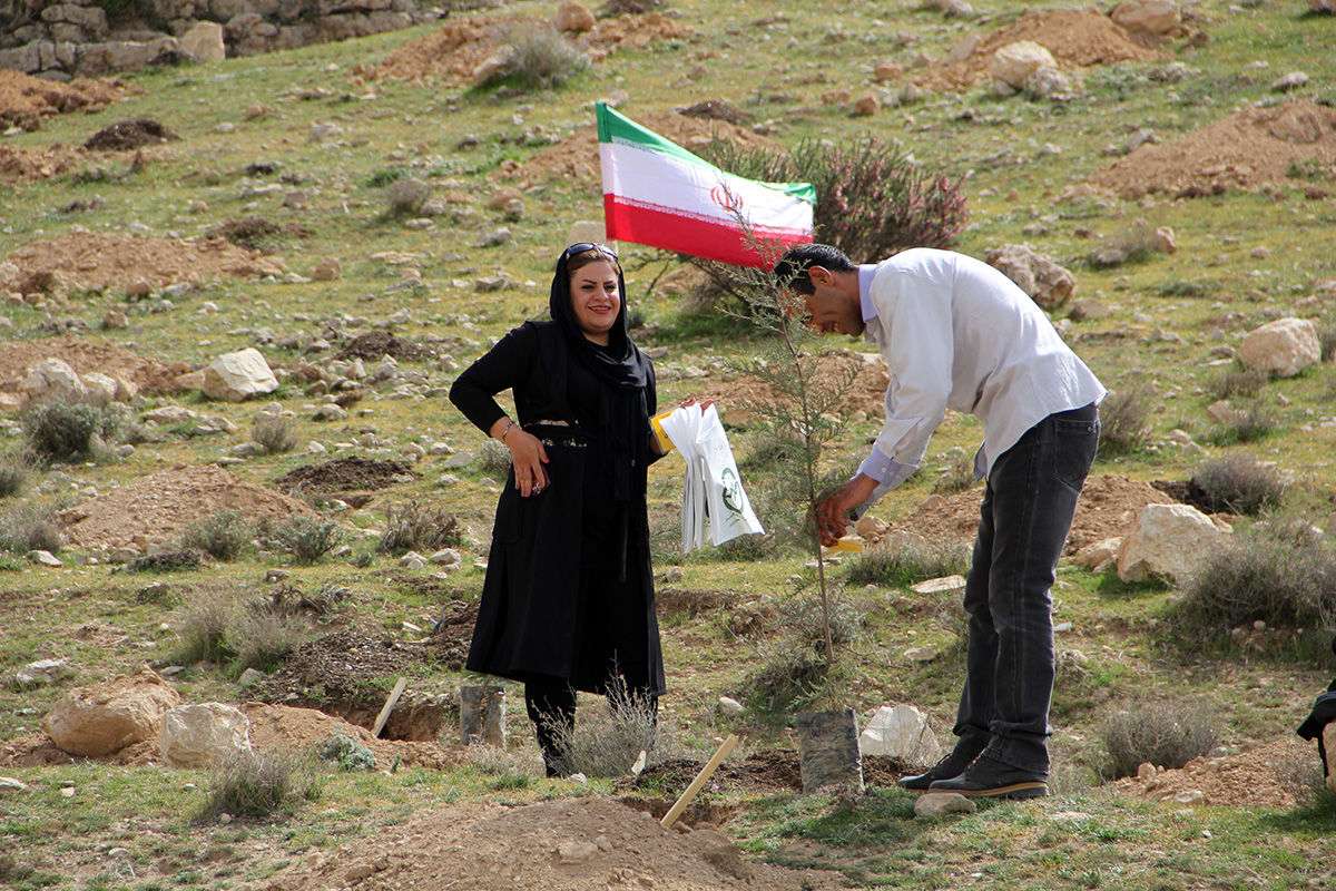 کاشت ۵ هزار اصله نهال درپارک جنگلی کوهستان و چهل بوستان طی یک‌ماه گذشته