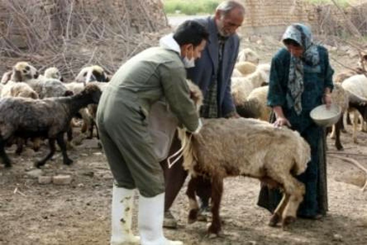 خدمت به جامعه عشایری اولویت نخست دامپزشکی